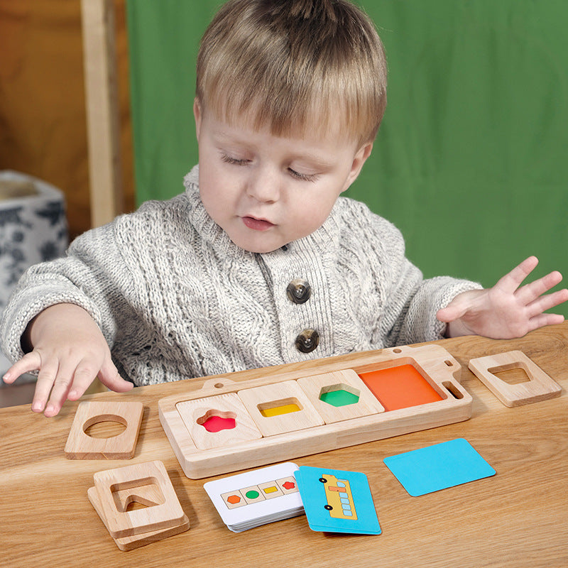 Geometric shape color separation Montessori puzzle