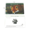 Juego de memoria Montessori: Tarjetas flash Huellas de animales