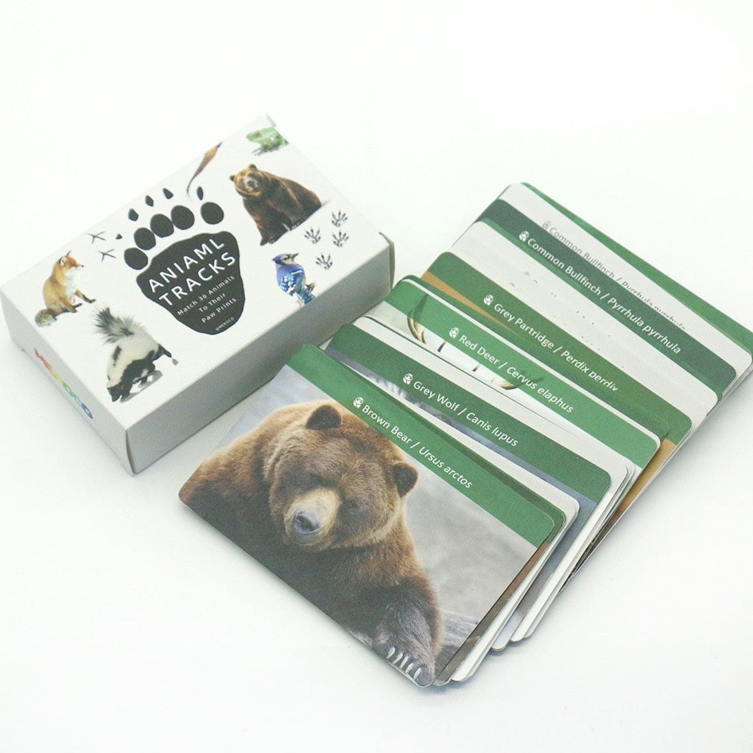 Juego de memoria Montessori: Tarjetas flash Huellas de animales